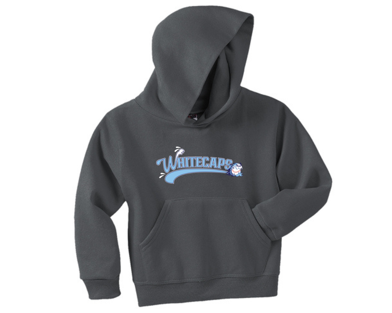 Youth Hooded Sweatshirt