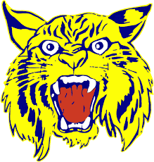 2026 1A Columbia Wildcats Football Preview