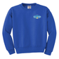 Youth Crewneck Sweatshirt