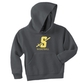 Youth Hooded Sweatshirt