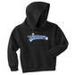 Youth Hooded Sweatshirt