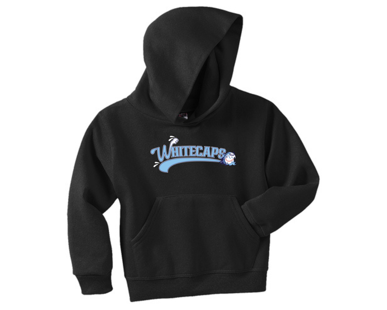 Youth Hooded Sweatshirt