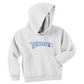 Youth Hooded Sweatshirt