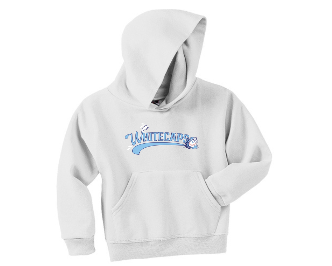 Youth Hooded Sweatshirt