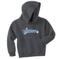 Youth Hooded Sweatshirt