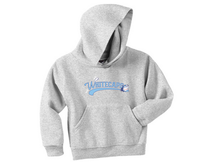 Youth Hooded Sweatshirt